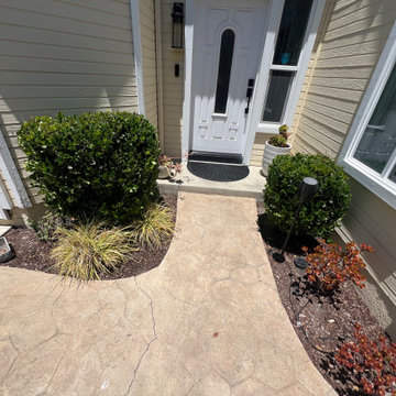 Before Picture