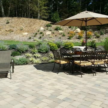 Backyard landscape design