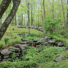 Landscape Ideas