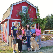 Homestead Ideas