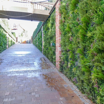 Entry Way to Car Lot Upgraded with Fake Green Walls