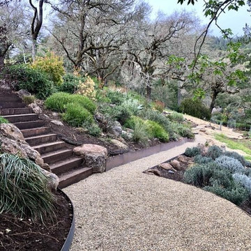 Sonoma County Garden - In Progress