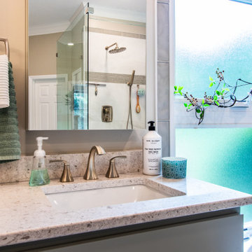 Master Bathroom Remodel