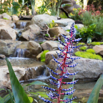 Waterfall Stream Dream Home Pond