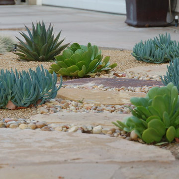 Sustainable Garden