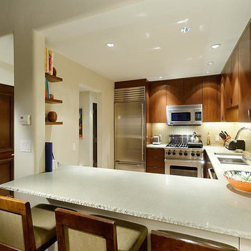 Contemporary Kitchen