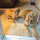 steve_smith9062