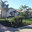 Alvarado Landscaping