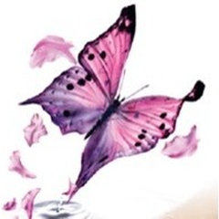 Simplistic Serenity