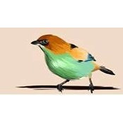 Ahmed Sketch's photo