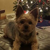 Judy Jesberger's photo