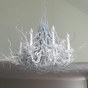 Eliza Wietrak's photo