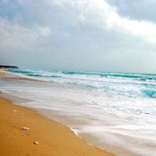 Toni Montegut's photo