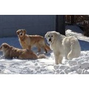 Z Bondi's photo