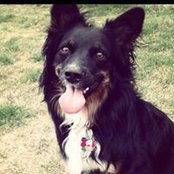 Brizzy Page's photo