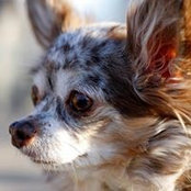 Jeni Powell's photo