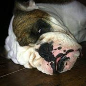 Sarah Presley's photo