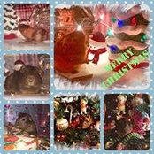 Amanda Henderson's photo