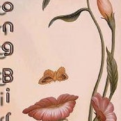 Joan Currence's photo
