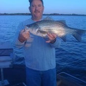 Mark Martin's photo