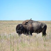 Russell Bateman's photo