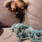 Marcelle Sutton's photo