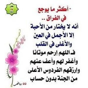 Mahmoud Saeed Saeid's photo