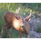 Janet Mcpherson-Hecht's photo