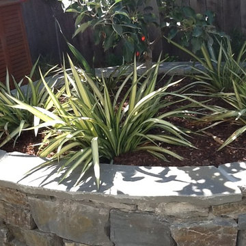 Garden for Entertaining