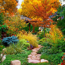 yard