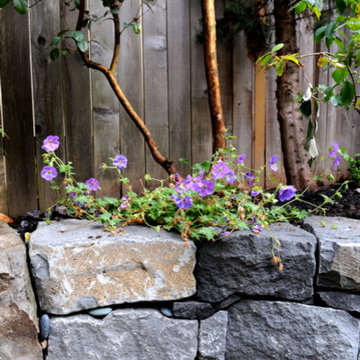 Oaks Bottom