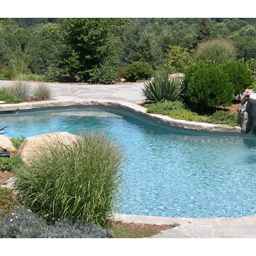 Custom Backyard Pool Portfolio