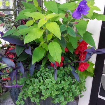 Container Gardens