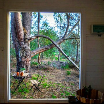The Tiny house