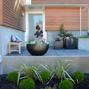 Contemporary Seaside Garden
