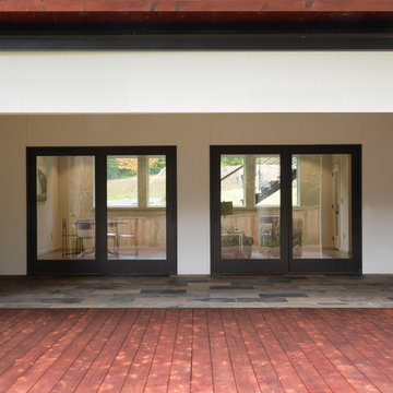 Tree Line Modern