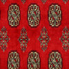 Bokara Elephant Feet Design 100% Wool, Hand-Knotted Oriental Rug