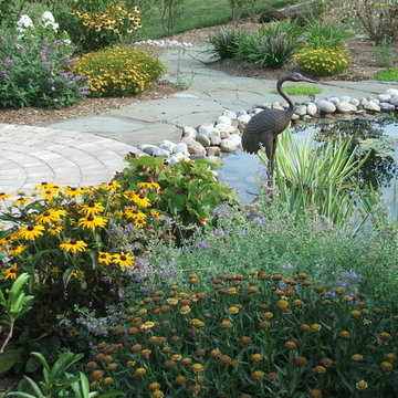 Koi Pond and Waterfall- Small Scale Design