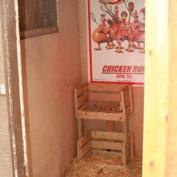 Chicken Coop