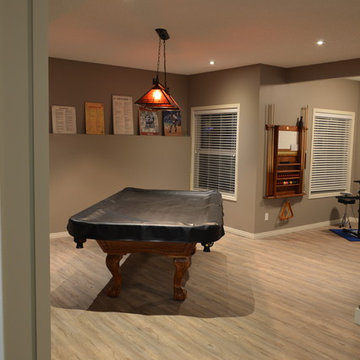Basement Renovation