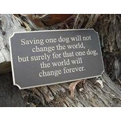 Cindy Visser's photo