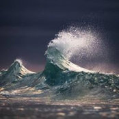 Zach Walker's photo