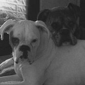 Erin Neyens's photo