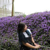 Vennesa Shmily's photo