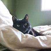 Robbin Abernathy's photo