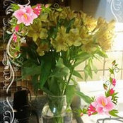 Wanda Sanchez's photo