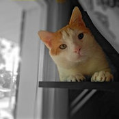 Roger Ruppe-Romeo's photo