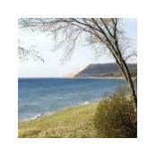 Cathy Upjohn's photo