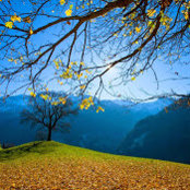 Apra Adamss foto
