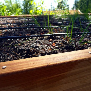 Drip irrigation system